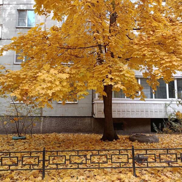 https://upforme.ru/uploads/0017/28/55/1114/t713062.jpg