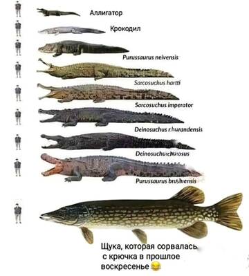 https://upforme.ru/uploads/0017/28/55/1124/t651314.jpg