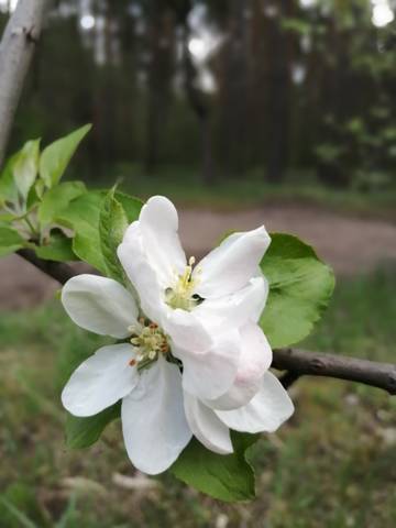 https://upforme.ru/uploads/0017/28/55/1169/t469485.jpg