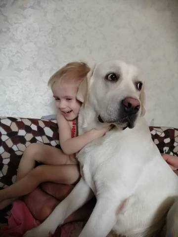 https://upforme.ru/uploads/0017/28/55/1169/t62962.jpg