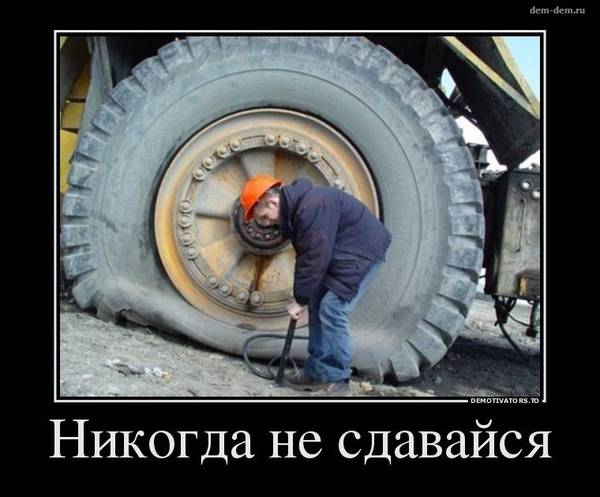 https://upforme.ru/uploads/0017/28/55/119/t407065.jpg