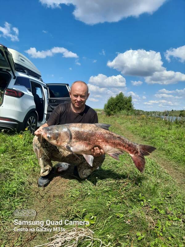 https://upforme.ru/uploads/0017/28/55/119/t50402.jpg