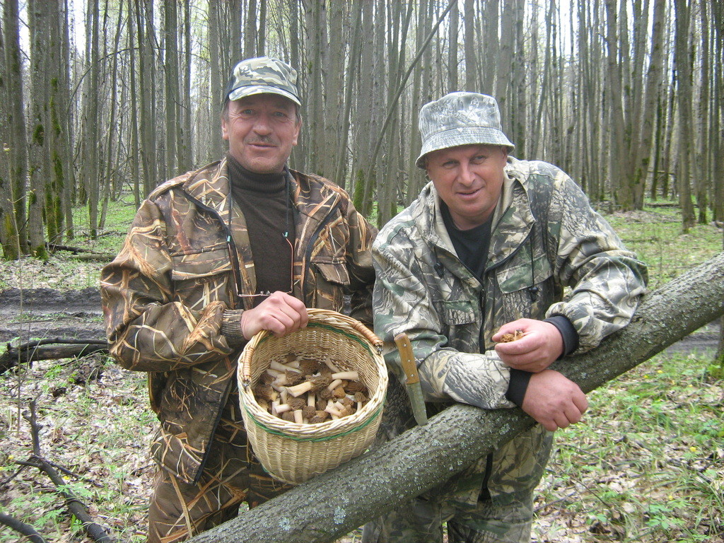https://upforme.ru/uploads/0017/28/55/12/29085.jpg
