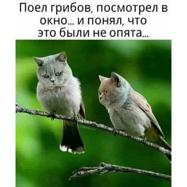 https://upforme.ru/uploads/0017/28/55/12/294474.jpg