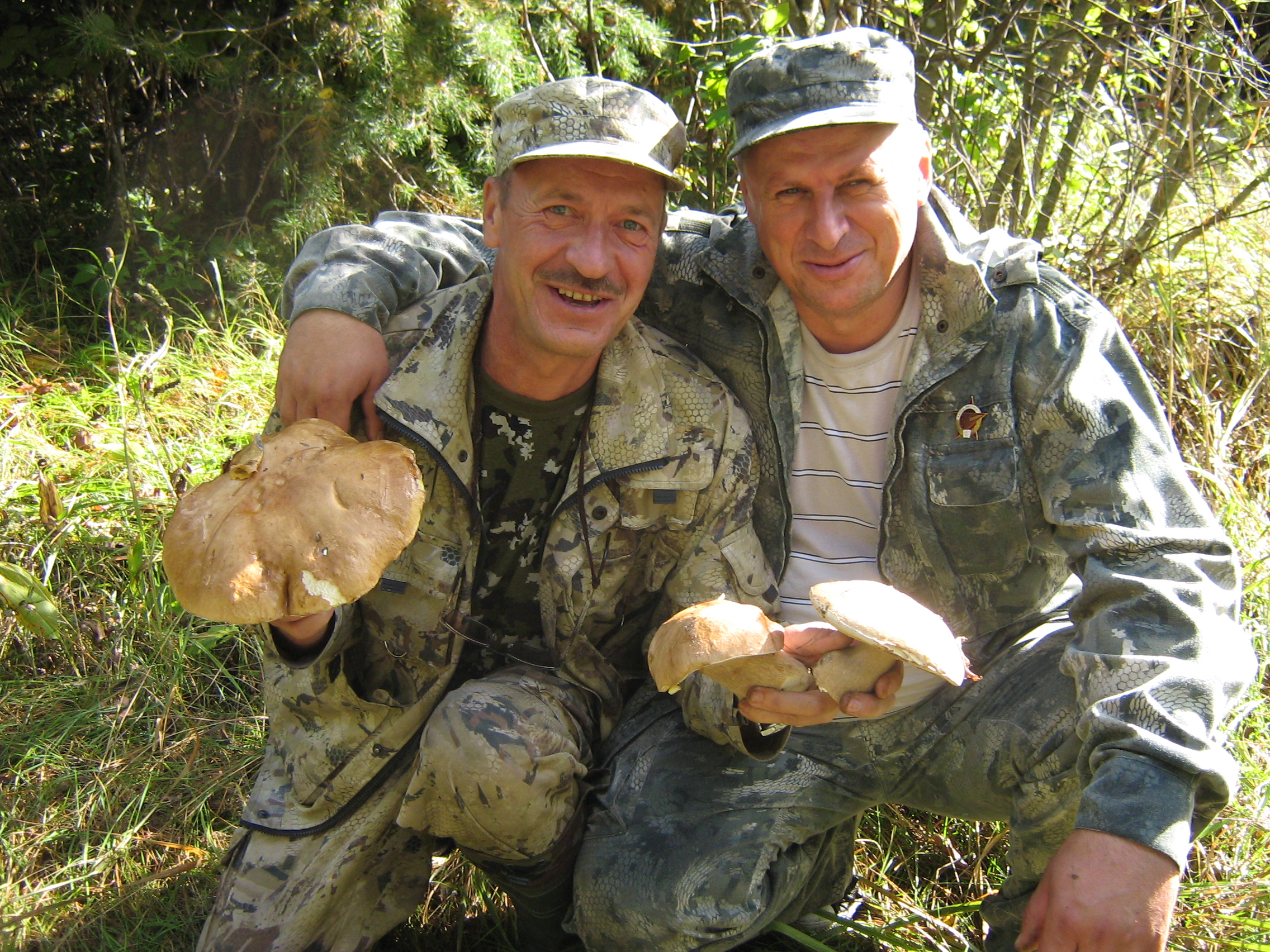 https://upforme.ru/uploads/0017/28/55/12/321185.jpg