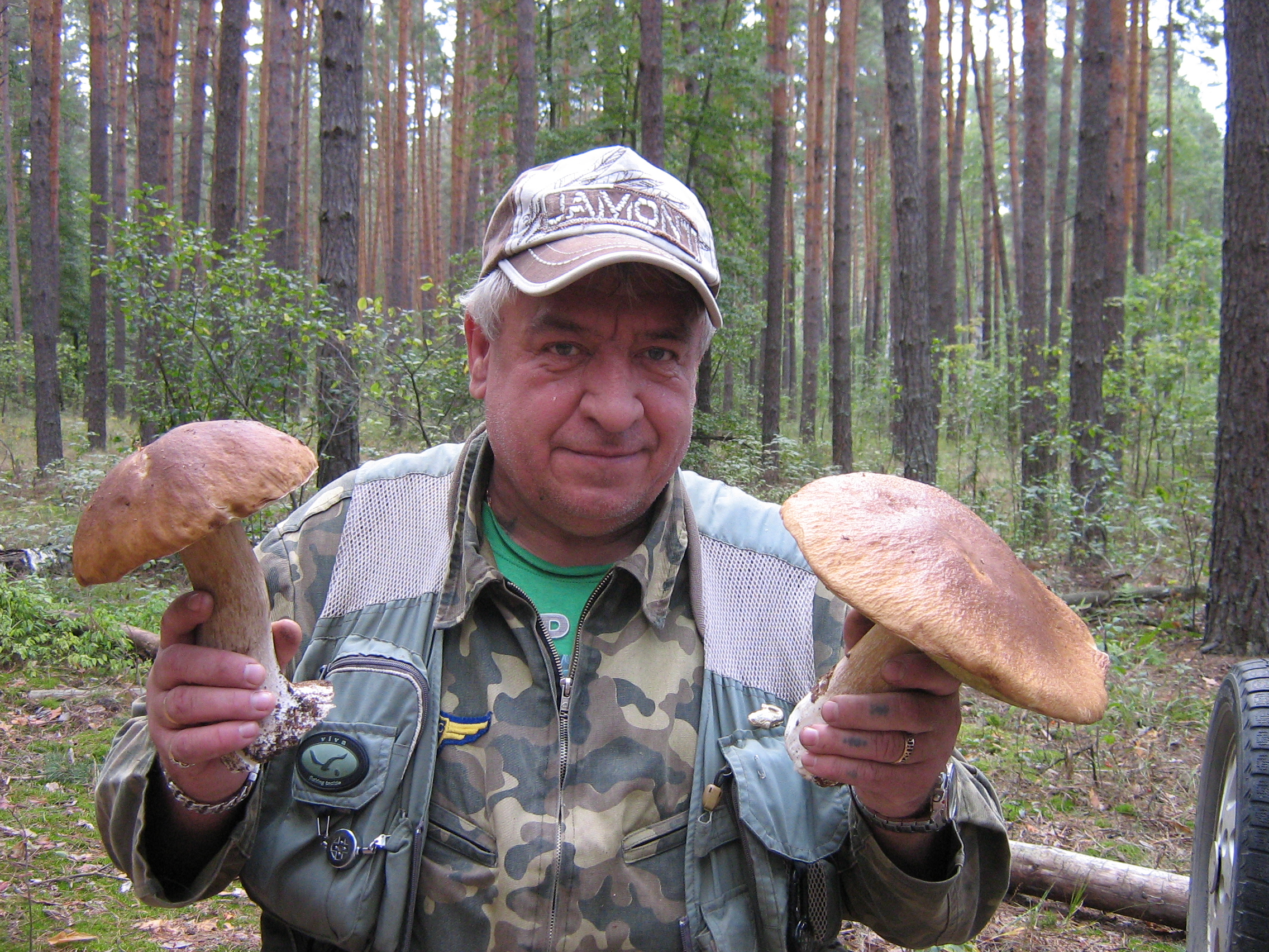 https://upforme.ru/uploads/0017/28/55/12/431882.jpg