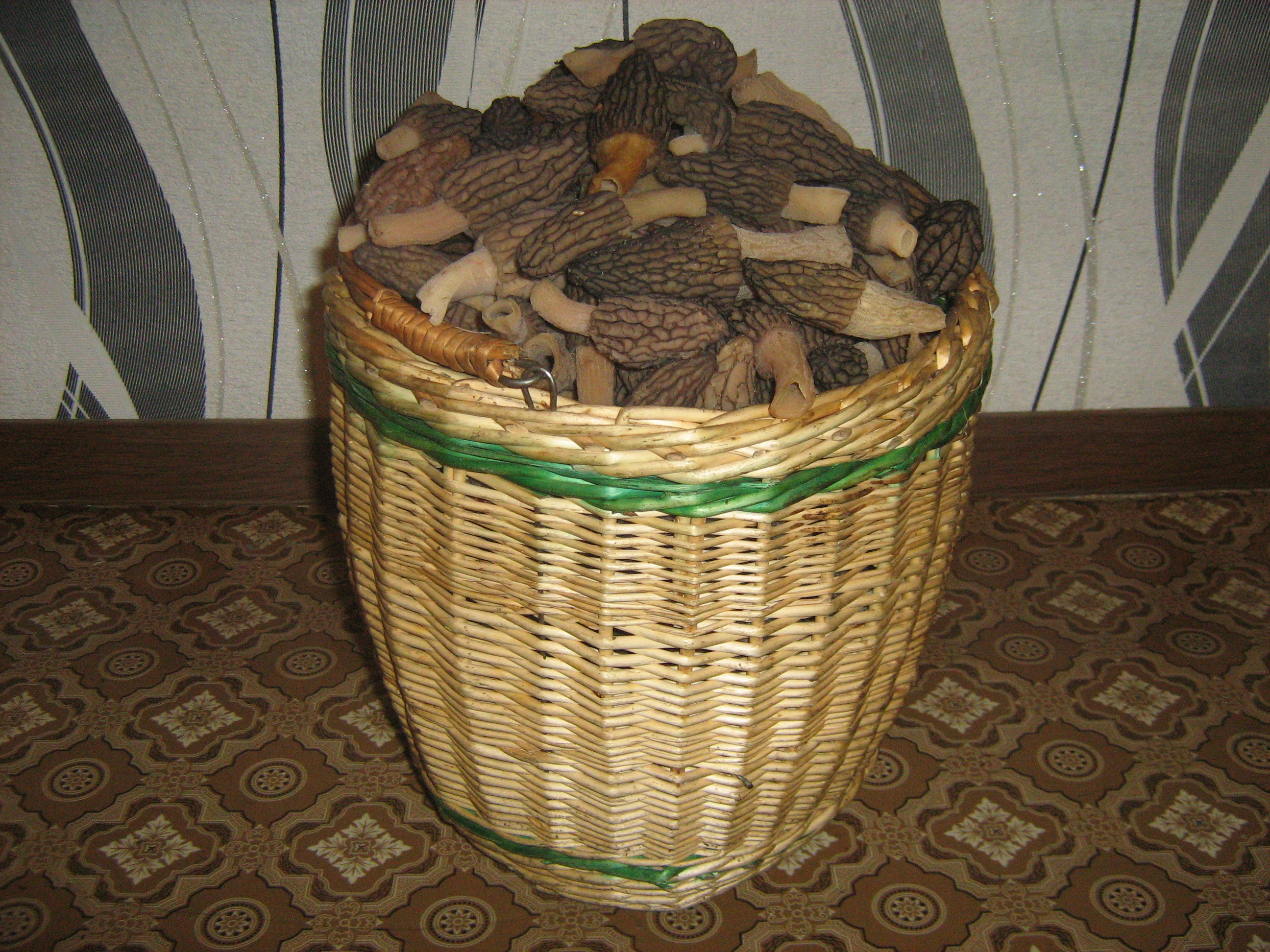 https://upforme.ru/uploads/0017/28/55/12/608848.jpg