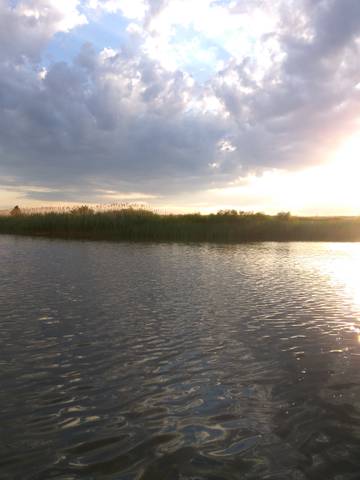 https://upforme.ru/uploads/0017/28/55/125/t805493.jpg