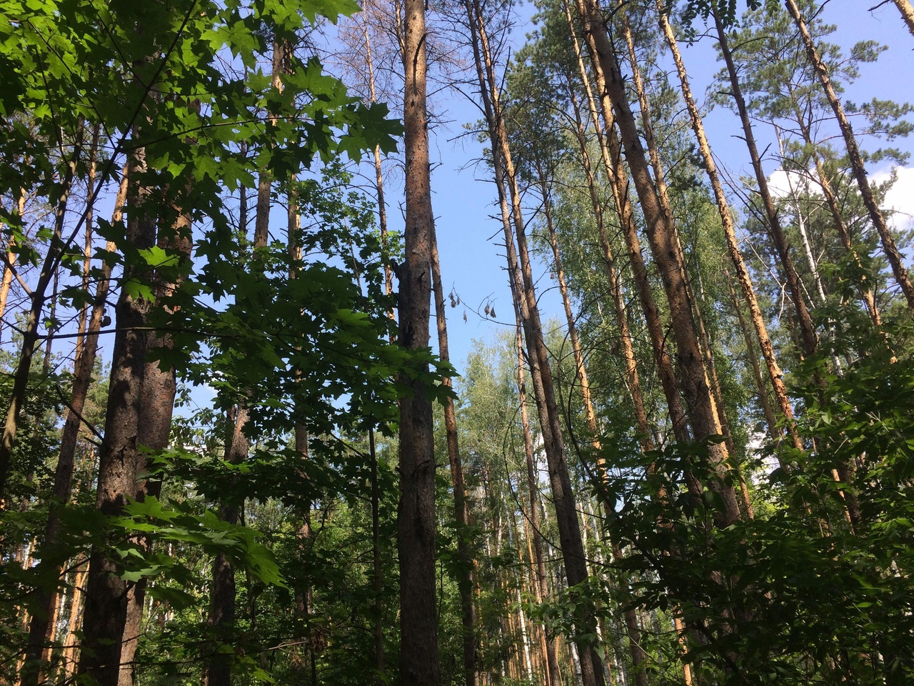 https://upforme.ru/uploads/0017/28/55/1329/265788.jpg
