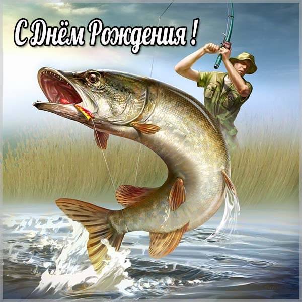 https://upforme.ru/uploads/0017/28/55/1329/442121.jpg