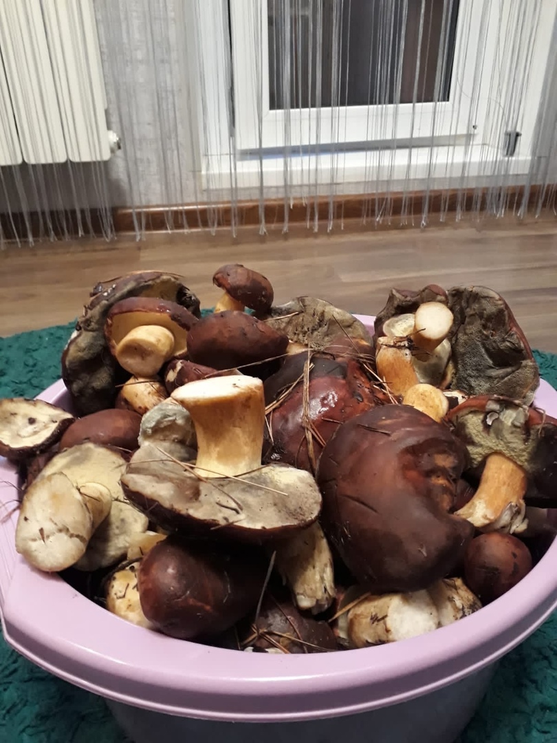 https://upforme.ru/uploads/0017/28/55/1329/755330.jpg