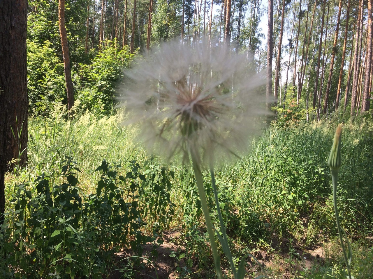 https://upforme.ru/uploads/0017/28/55/1329/817632.jpg