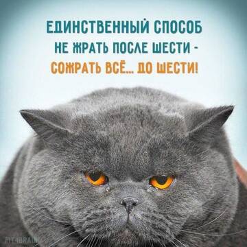 https://upforme.ru/uploads/0017/28/55/1371/t185661.jpg
