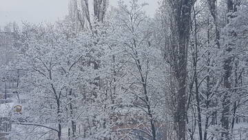 https://upforme.ru/uploads/0017/28/55/1371/t878320.jpg