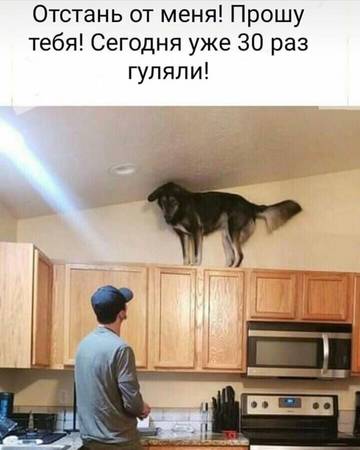 https://upforme.ru/uploads/0017/28/55/15/t52322.jpg
