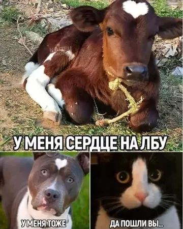 https://upforme.ru/uploads/0017/28/55/15/t933462.webp