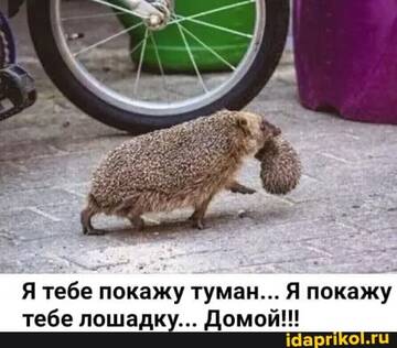 https://upforme.ru/uploads/0017/28/55/155/t444941.jpg