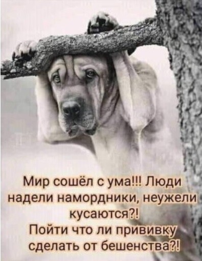 https://upforme.ru/uploads/0017/28/55/16/t635988.jpg