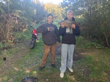 https://upforme.ru/uploads/0017/28/55/1627/t17078.jpg