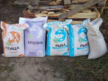 https://upforme.ru/uploads/0017/28/55/1627/t757277.jpg