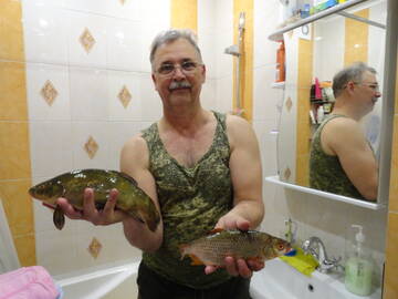 https://upforme.ru/uploads/0017/28/55/1638/t46726.jpg