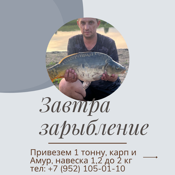 https://upforme.ru/uploads/0017/28/55/1678/t506455.png