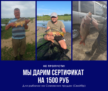 https://upforme.ru/uploads/0017/28/55/1678/t955203.png
