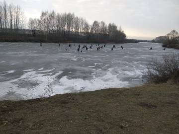 https://upforme.ru/uploads/0017/28/55/1967/t19483.jpg