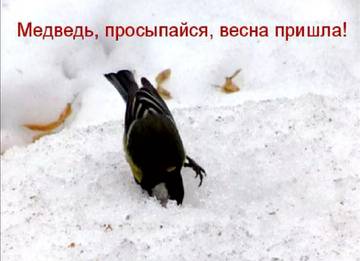 https://upforme.ru/uploads/0017/28/55/2038/t36552.jpg
