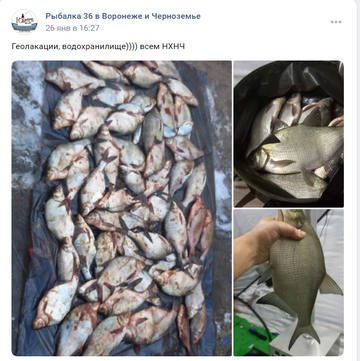 https://upforme.ru/uploads/0017/28/55/2148/t131980.png