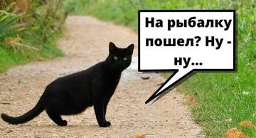 https://upforme.ru/uploads/0017/28/55/2148/t448429.jpg