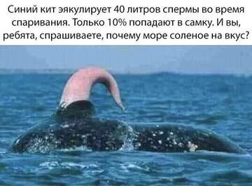 https://upforme.ru/uploads/0017/28/55/2148/t891736.jpg
