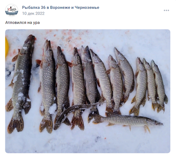 https://upforme.ru/uploads/0017/28/55/2148/t974306.png