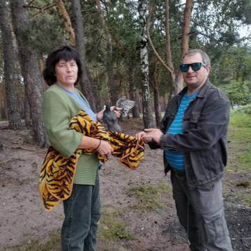 https://upforme.ru/uploads/0017/28/55/2487/t949770.jpg