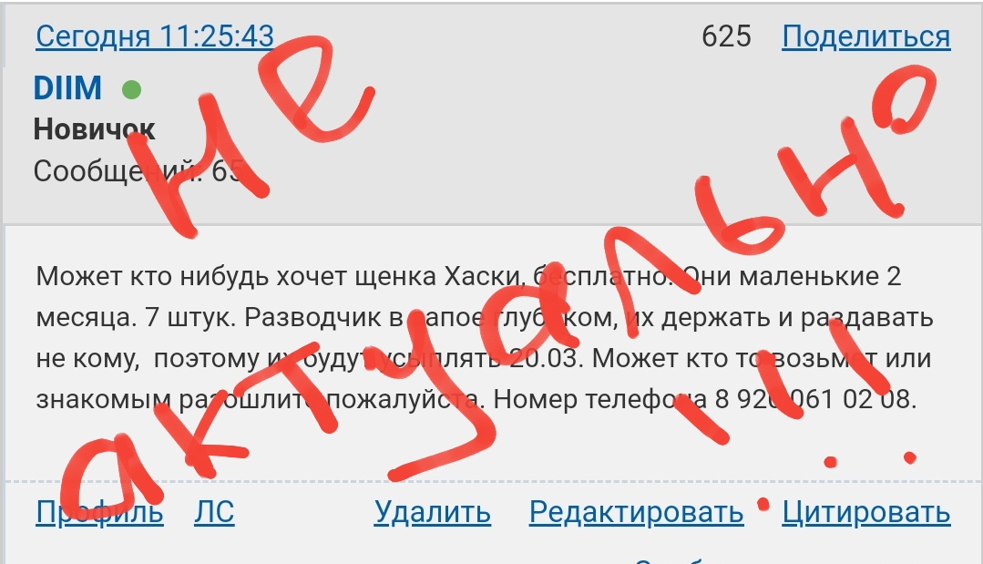 https://upforme.ru/uploads/0017/28/55/253/66573.jpg