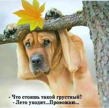 https://upforme.ru/uploads/0017/28/55/2555/t337659.jpg
