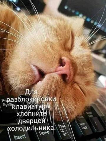 https://upforme.ru/uploads/0017/28/55/2555/t515220.jpg