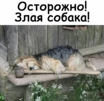 https://upforme.ru/uploads/0017/28/55/2555/t692048.jpg