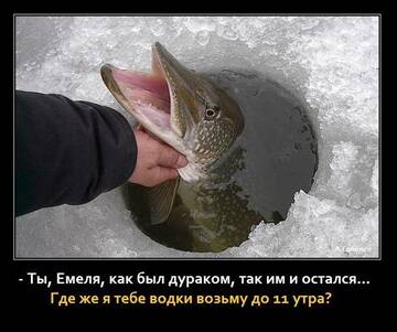 https://upforme.ru/uploads/0017/28/55/2555/t81505.jpg