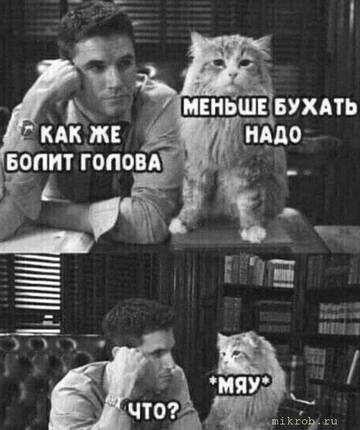 https://upforme.ru/uploads/0017/28/55/2555/t915172.jpg