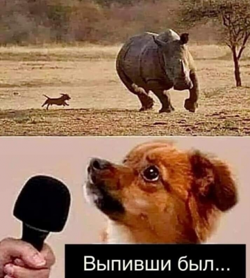 https://upforme.ru/uploads/0017/28/55/2555/t928831.png