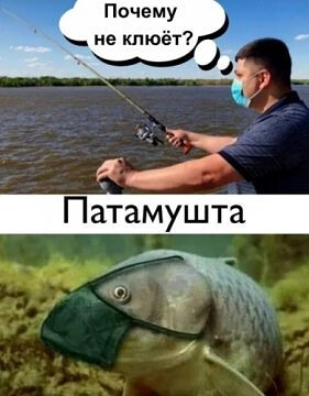 https://upforme.ru/uploads/0017/28/55/26/t166829.jpg