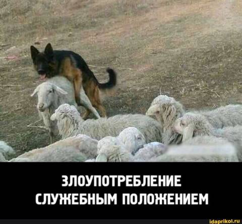 https://upforme.ru/uploads/0017/28/55/26/t838758.jpg