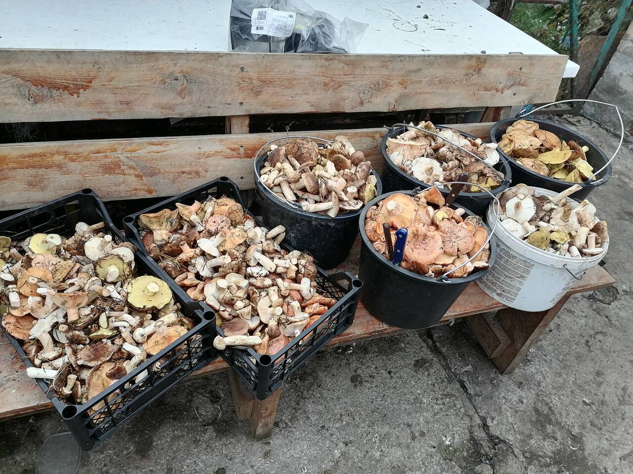https://upforme.ru/uploads/0017/28/55/274/198980.jpg