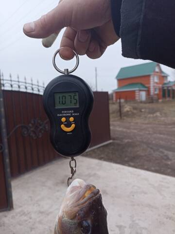 https://upforme.ru/uploads/0017/28/55/2776/t305671.jpg