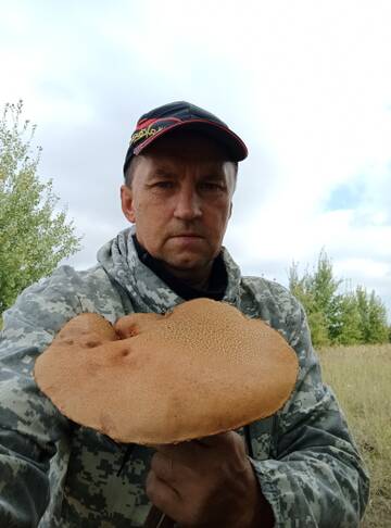 https://upforme.ru/uploads/0017/28/55/2776/t457876.jpg