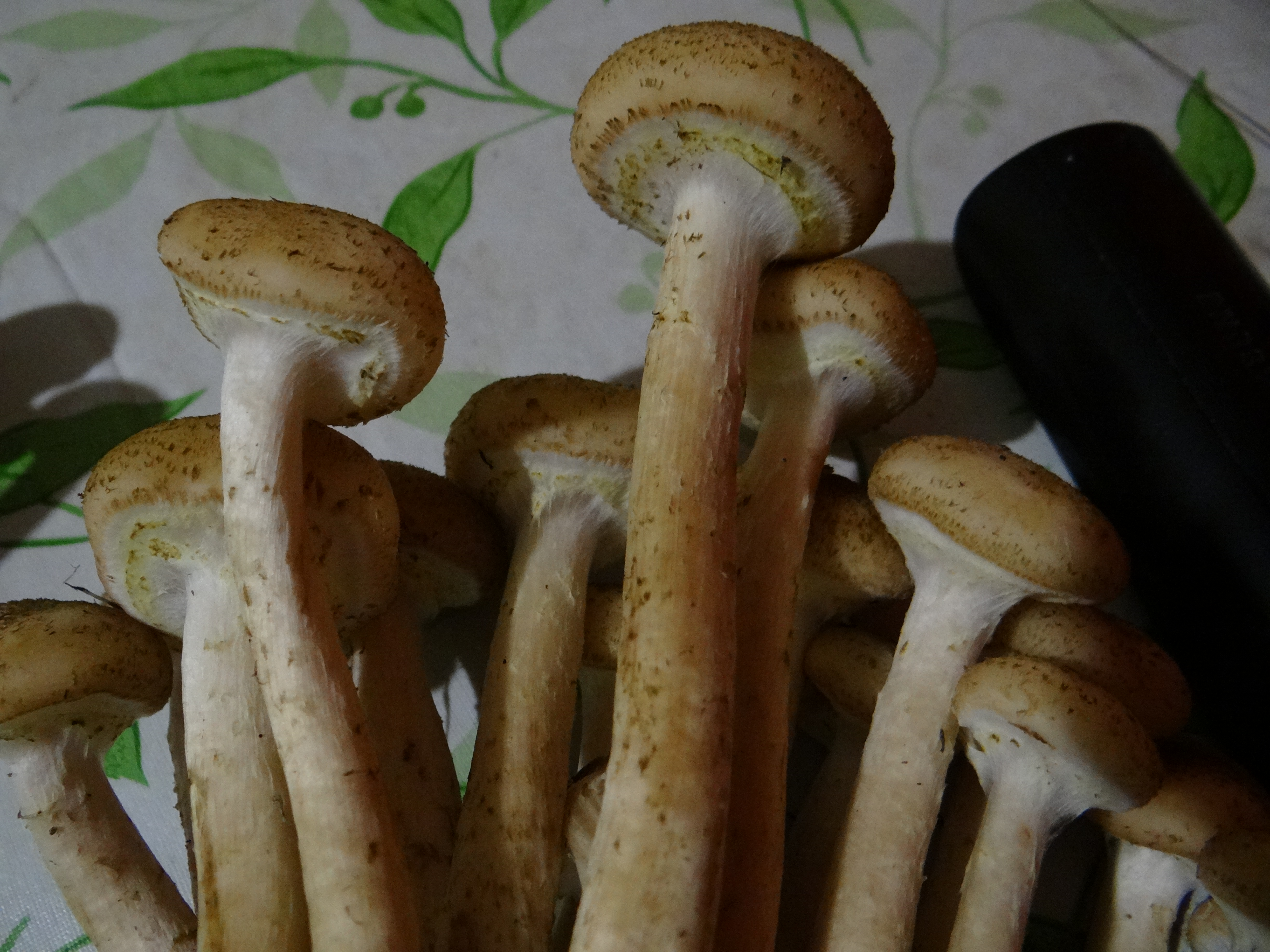 https://upforme.ru/uploads/0017/28/55/29/381369.jpg