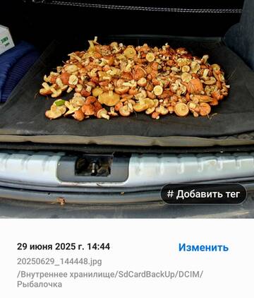 https://upforme.ru/uploads/0017/28/55/290/t494903.jpg