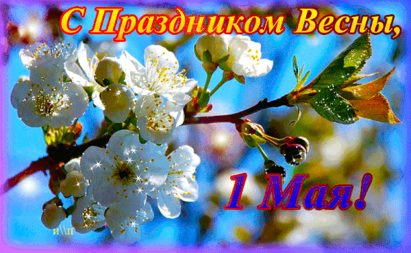 https://upforme.ru/uploads/0017/28/55/3/t568989.gif