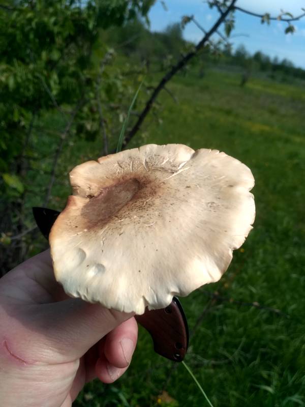 https://upforme.ru/uploads/0017/28/55/311/t335210.jpg